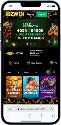 Ozwin Casino Support